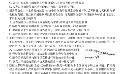 生物试卷（羽宸联考）_2025年7月_250706广西羽宸教育&middot;新课程教研联盟暨梧州市2025年春季期高二年级7月期末考试（全科）_梧州市2025年春季期高二年级7月期末考试生物