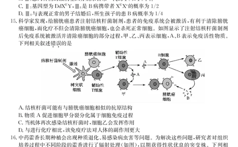 生物试卷（羽宸联考）_2025年7月_250706广西羽宸教育&middot;新课程教研联盟暨梧州市2025年春季期高二年级7月期末考试（全科）_梧州市2025年春季期高二年级7月期末考试生物