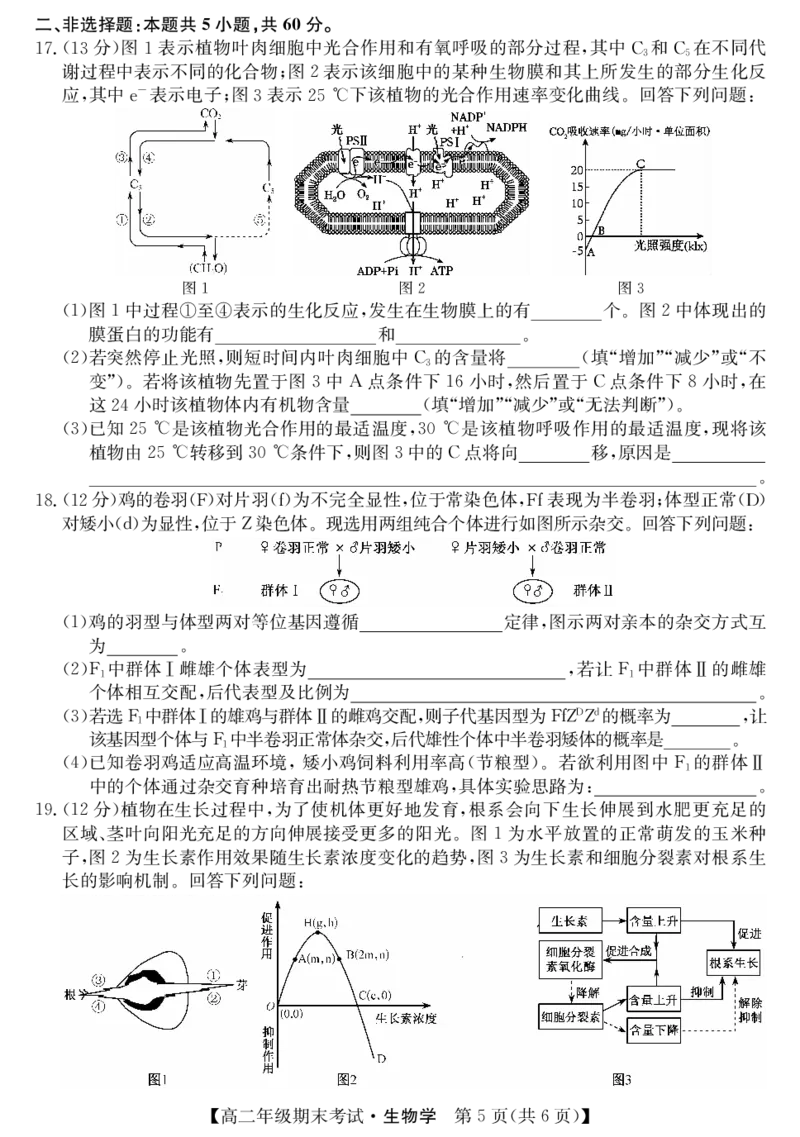 生物试卷（羽宸联考）_2025年7月_250706广西羽宸教育&middot;新课程教研联盟暨梧州市2025年春季期高二年级7月期末考试（全科）_梧州市2025年春季期高二年级7月期末考试生物