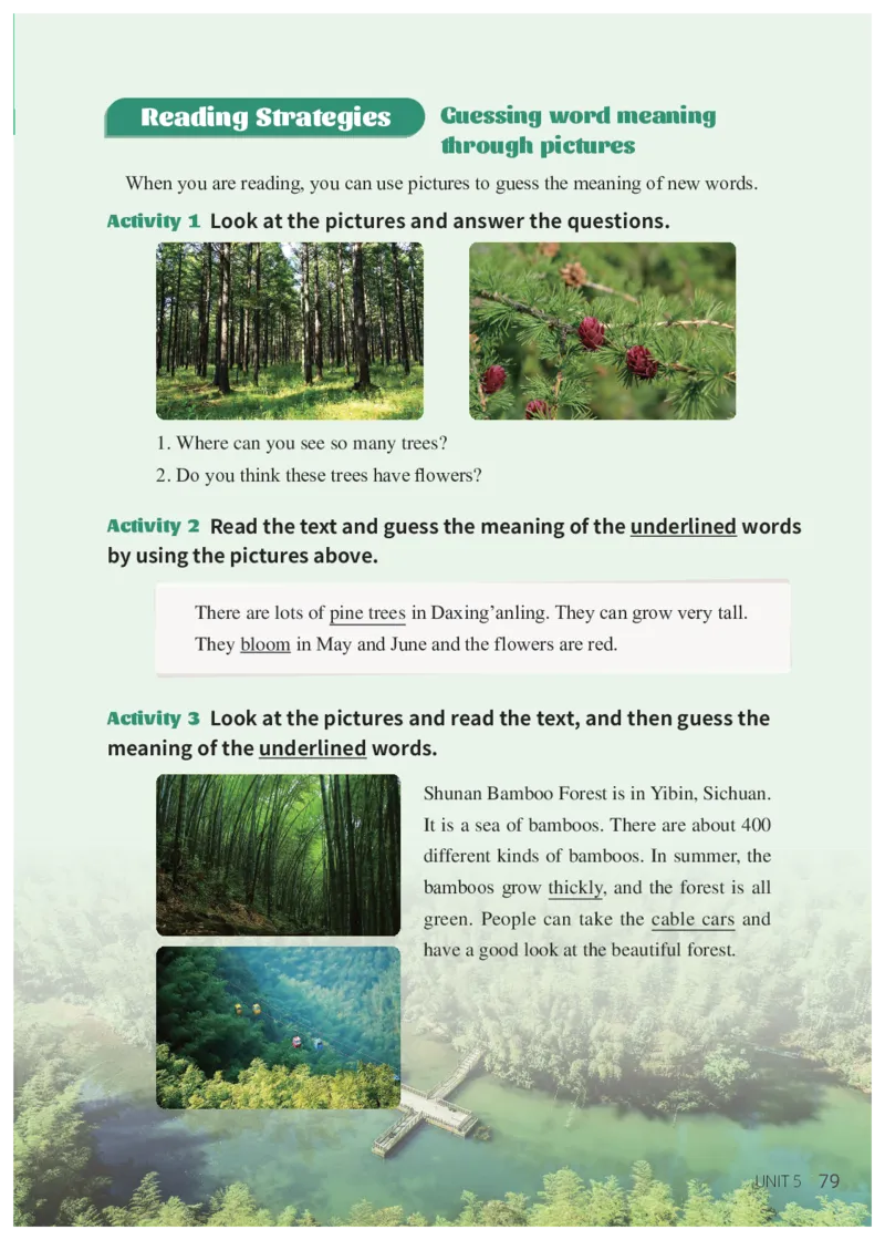 科普版7年级英语上册高清教材_4-教培资料-26年最新资料-同步更新_初中高中教资_03科三专项（进去保存报考的学科即可）_02科三专项（笔记真题思维导图教学设计版本二）