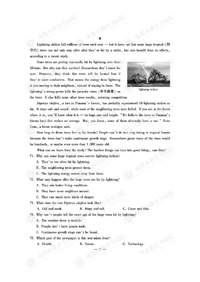 2025成都中考英语真题及答案解析_2025全国各地《中考真题试卷及答案》_2025成都中考真题及答案