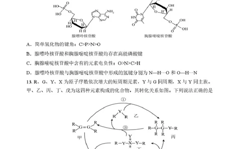 龙东十校联盟2024-2025学年高二下学期期末考试化学+答案_2025年7月_250725黑龙江省&middot;龙东十校联盟2024-2025学年高二下学期期末考试（全科）