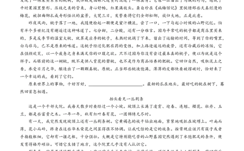 河北省武邑中学2024届高三上学期三调考试语文_2024届河北省武邑中学高三上学期三调考试