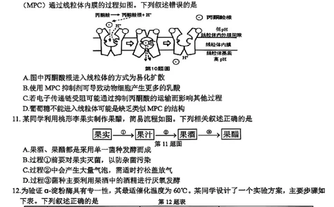 生物试题_2025年12月_251212浙江精诚联盟2025学年第一学期高三12月适应性联考（全科）_浙江精诚联盟2025学年第一学期高三12月适应性联考生物