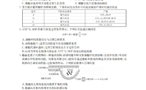 辽宁省2026届高三上学期12月联考（26-162C）生物_2025年12月_251231金太阳&middot;辽宁省2026届高三上学期12月联考（26-162C）（全科）
