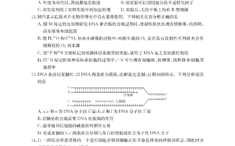 辽宁省2026届高三上学期12月联考（26-162C）生物_2025年12月_251231金太阳&middot;辽宁省2026届高三上学期12月联考（26-162C）（全科）