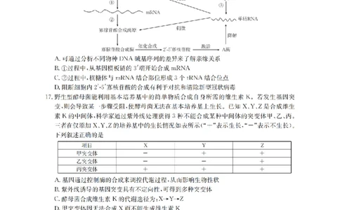 辽宁省2026届高三上学期12月联考（26-162C）生物_2025年12月_251231金太阳&middot;辽宁省2026届高三上学期12月联考（26-162C）（全科）