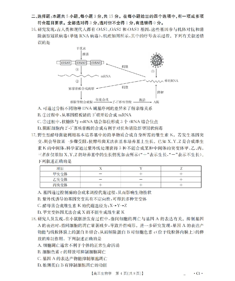 辽宁省2026届高三上学期12月联考（26-162C）生物_2025年12月_251231金太阳&middot;辽宁省2026届高三上学期12月联考（26-162C）（全科）
