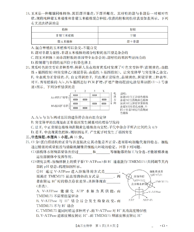 辽宁省2026届高三上学期12月联考（26-162C）生物_2025年12月_251231金太阳&middot;辽宁省2026届高三上学期12月联考（26-162C）（全科）