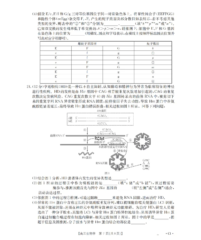 辽宁省2026届高三上学期12月联考（26-162C）生物_2025年12月_251231金太阳&middot;辽宁省2026届高三上学期12月联考（26-162C）（全科）