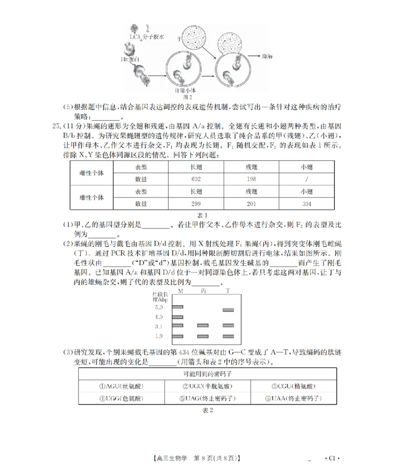 辽宁省2026届高三上学期12月联考（26-162C）生物_2025年12月_251231金太阳&middot;辽宁省2026届高三上学期12月联考（26-162C）（全科）