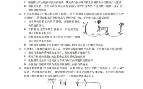 生物试卷_2025年7月_250709广东省肇庆市2024-2025学年高二下学期期末考试（全科）_广东省肇庆市2024-2025学年高二下学期期末考试生物试题
