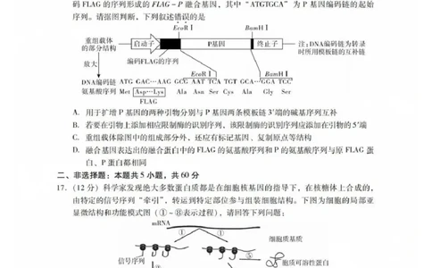 生物试卷_2025年7月_250709广东省肇庆市2024-2025学年高二下学期期末考试（全科）_广东省肇庆市2024-2025学年高二下学期期末考试生物试题