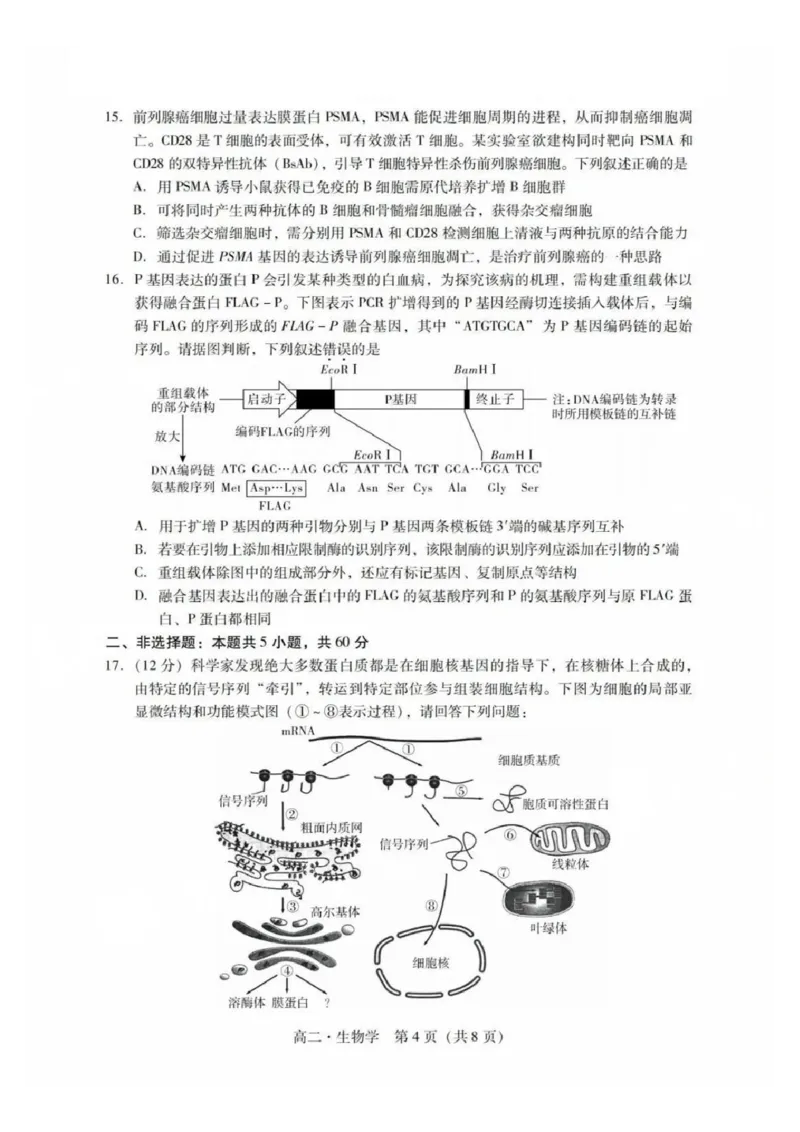 生物试卷_2025年7月_250709广东省肇庆市2024-2025学年高二下学期期末考试（全科）_广东省肇庆市2024-2025学年高二下学期期末考试生物试题