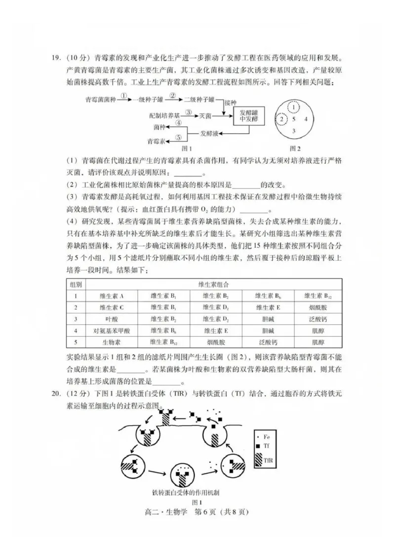 生物试卷_2025年7月_250709广东省肇庆市2024-2025学年高二下学期期末考试（全科）_广东省肇庆市2024-2025学年高二下学期期末考试生物试题