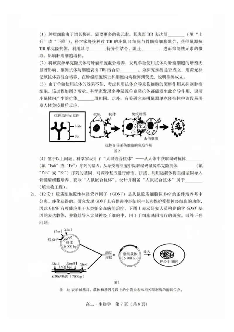 生物试卷_2025年7月_250709广东省肇庆市2024-2025学年高二下学期期末考试（全科）_广东省肇庆市2024-2025学年高二下学期期末考试生物试题