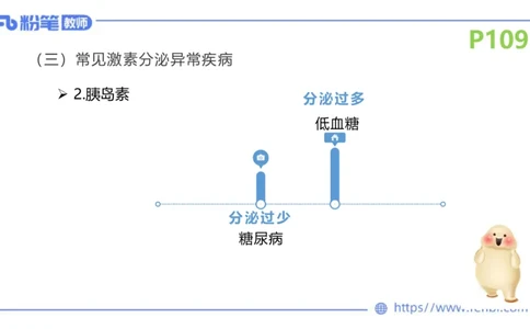 理论精讲15-动物学5-拾光_4-教培资料-26年最新资料-同步更新_初中高中教资_03科三专项（进去保存报考的学科即可）_01科目三FB网课、三色速记手册、知识点导图等推荐_初中