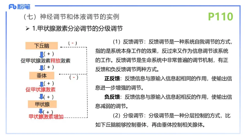 理论精讲15-动物学5-拾光_4-教培资料-26年最新资料-同步更新_初中高中教资_03科三专项（进去保存报考的学科即可）_01科目三FB网课、三色速记手册、知识点导图等推荐_初中