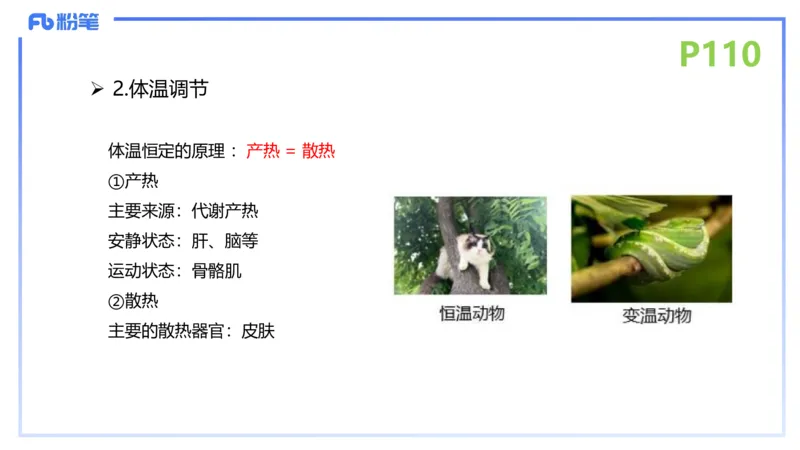 理论精讲15-动物学5-拾光_4-教培资料-26年最新资料-同步更新_初中高中教资_03科三专项（进去保存报考的学科即可）_01科目三FB网课、三色速记手册、知识点导图等推荐_初中