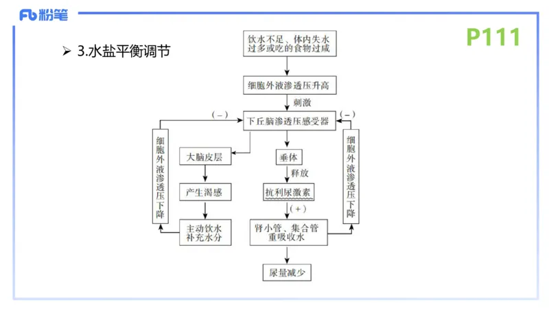 理论精讲15-动物学5-拾光_4-教培资料-26年最新资料-同步更新_初中高中教资_03科三专项（进去保存报考的学科即可）_01科目三FB网课、三色速记手册、知识点导图等推荐_初中