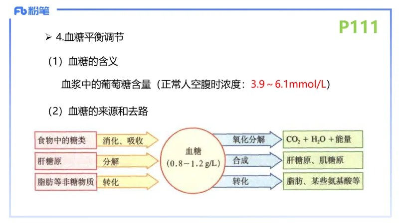 理论精讲15-动物学5-拾光_4-教培资料-26年最新资料-同步更新_初中高中教资_03科三专项（进去保存报考的学科即可）_01科目三FB网课、三色速记手册、知识点导图等推荐_初中