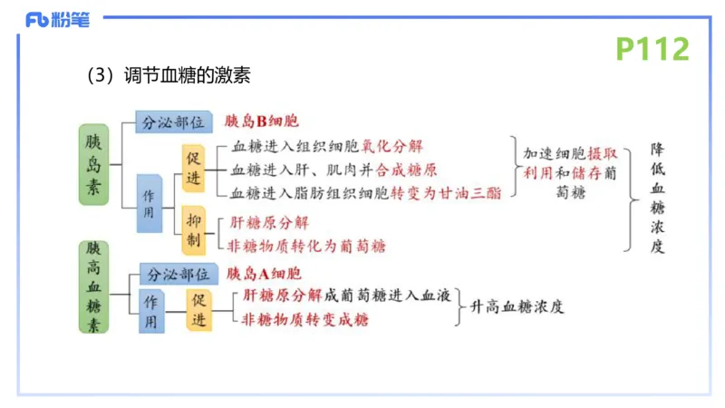 理论精讲15-动物学5-拾光_4-教培资料-26年最新资料-同步更新_初中高中教资_03科三专项（进去保存报考的学科即可）_01科目三FB网课、三色速记手册、知识点导图等推荐_初中