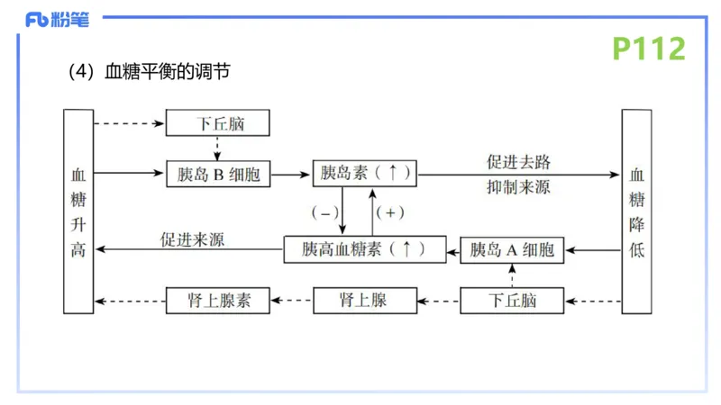 理论精讲15-动物学5-拾光_4-教培资料-26年最新资料-同步更新_初中高中教资_03科三专项（进去保存报考的学科即可）_01科目三FB网课、三色速记手册、知识点导图等推荐_初中