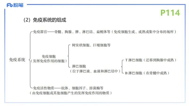 理论精讲15-动物学5-拾光_4-教培资料-26年最新资料-同步更新_初中高中教资_03科三专项（进去保存报考的学科即可）_01科目三FB网课、三色速记手册、知识点导图等推荐_初中