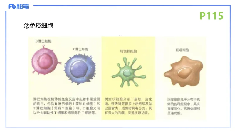 理论精讲15-动物学5-拾光_4-教培资料-26年最新资料-同步更新_初中高中教资_03科三专项（进去保存报考的学科即可）_01科目三FB网课、三色速记手册、知识点导图等推荐_初中