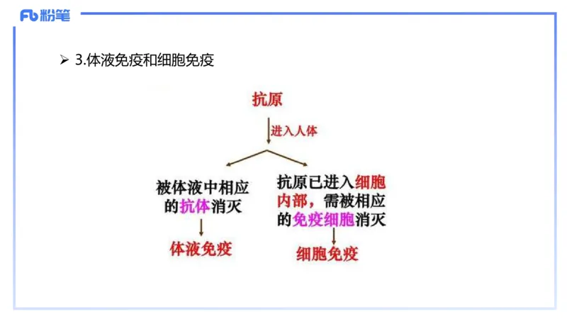 理论精讲15-动物学5-拾光_4-教培资料-26年最新资料-同步更新_初中高中教资_03科三专项（进去保存报考的学科即可）_01科目三FB网课、三色速记手册、知识点导图等推荐_初中
