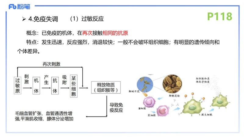理论精讲15-动物学5-拾光_4-教培资料-26年最新资料-同步更新_初中高中教资_03科三专项（进去保存报考的学科即可）_01科目三FB网课、三色速记手册、知识点导图等推荐_初中