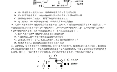 生物试卷_2024年1月_01每日更新_18号_2024届重庆缙云教育联盟高三高考第一次诊断性检测（一模）_重庆缙云教育联盟2024届高三高考第一次诊断性检测（一模）生物