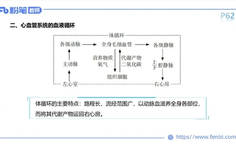 理论精讲运动解剖学5(1)_4-教培资料-26年最新资料-同步更新_科一科二电子资料合集中小幼（笔记真题知识点汇总等）文件多，按需保存_各机构笔记合集（中小幼）推荐_上课课件