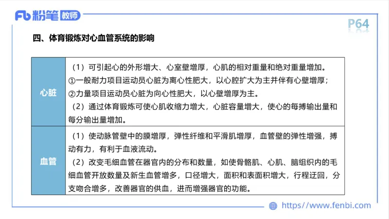 理论精讲运动解剖学5(1)_4-教培资料-26年最新资料-同步更新_科一科二电子资料合集中小幼（笔记真题知识点汇总等）文件多，按需保存_各机构笔记合集（中小幼）推荐_上课课件