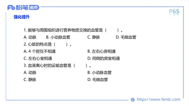 理论精讲运动解剖学5(1)_4-教培资料-26年最新资料-同步更新_科一科二电子资料合集中小幼（笔记真题知识点汇总等）文件多，按需保存_各机构笔记合集（中小幼）推荐_上课课件
