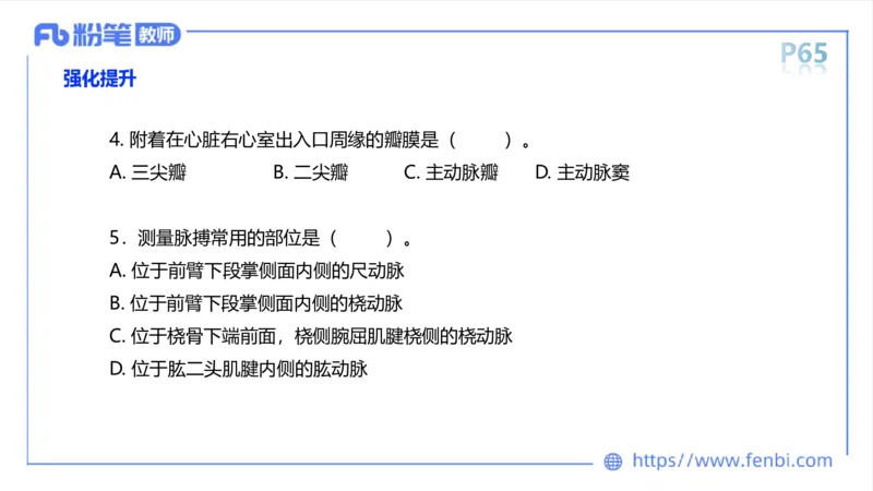 理论精讲运动解剖学5(1)_4-教培资料-26年最新资料-同步更新_科一科二电子资料合集中小幼（笔记真题知识点汇总等）文件多，按需保存_各机构笔记合集（中小幼）推荐_上课课件