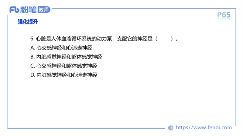 理论精讲运动解剖学5(1)_4-教培资料-26年最新资料-同步更新_科一科二电子资料合集中小幼（笔记真题知识点汇总等）文件多，按需保存_各机构笔记合集（中小幼）推荐_上课课件
