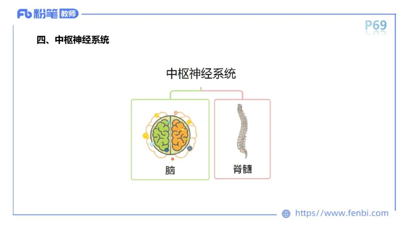 理论精讲运动解剖学5(1)_4-教培资料-26年最新资料-同步更新_科一科二电子资料合集中小幼（笔记真题知识点汇总等）文件多，按需保存_各机构笔记合集（中小幼）推荐_上课课件