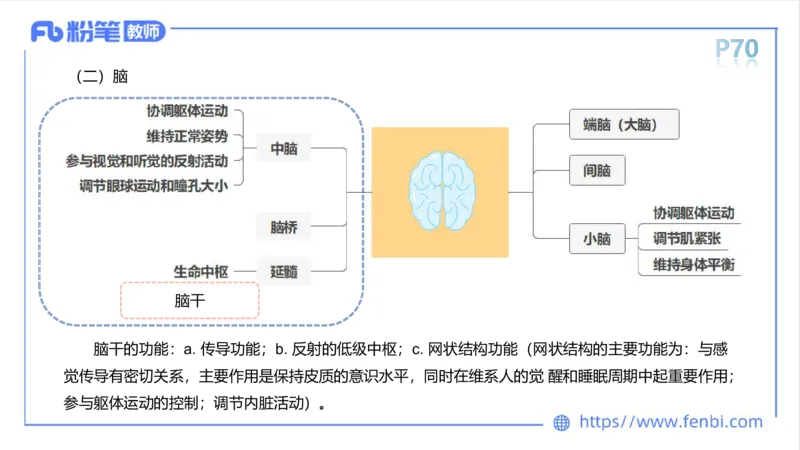 理论精讲运动解剖学5(1)_4-教培资料-26年最新资料-同步更新_科一科二电子资料合集中小幼（笔记真题知识点汇总等）文件多，按需保存_各机构笔记合集（中小幼）推荐_上课课件