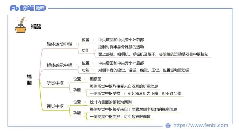 理论精讲运动解剖学5(1)_4-教培资料-26年最新资料-同步更新_科一科二电子资料合集中小幼（笔记真题知识点汇总等）文件多，按需保存_各机构笔记合集（中小幼）推荐_上课课件