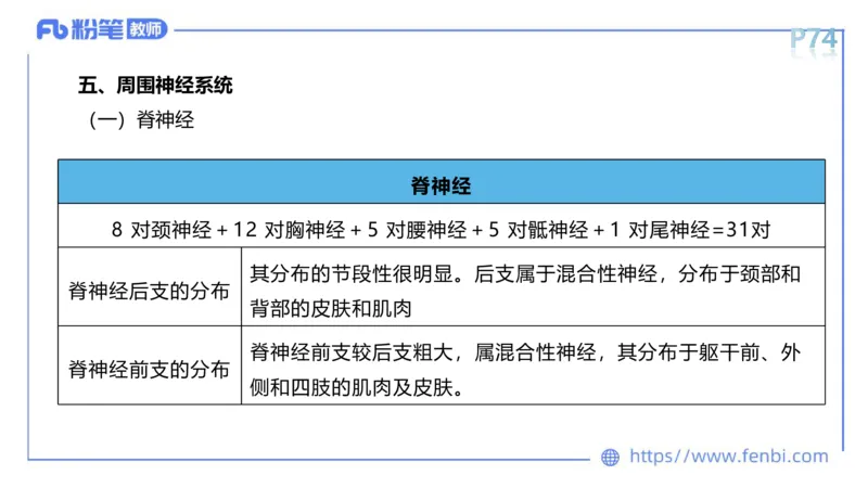 理论精讲运动解剖学5(1)_4-教培资料-26年最新资料-同步更新_科一科二电子资料合集中小幼（笔记真题知识点汇总等）文件多，按需保存_各机构笔记合集（中小幼）推荐_上课课件