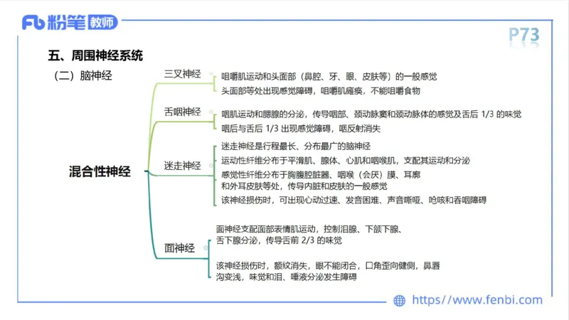 理论精讲运动解剖学5(1)_4-教培资料-26年最新资料-同步更新_科一科二电子资料合集中小幼（笔记真题知识点汇总等）文件多，按需保存_各机构笔记合集（中小幼）推荐_上课课件