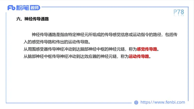 理论精讲运动解剖学5(1)_4-教培资料-26年最新资料-同步更新_科一科二电子资料合集中小幼（笔记真题知识点汇总等）文件多，按需保存_各机构笔记合集（中小幼）推荐_上课课件
