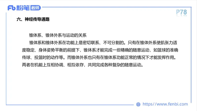 理论精讲运动解剖学5(1)_4-教培资料-26年最新资料-同步更新_科一科二电子资料合集中小幼（笔记真题知识点汇总等）文件多，按需保存_各机构笔记合集（中小幼）推荐_上课课件