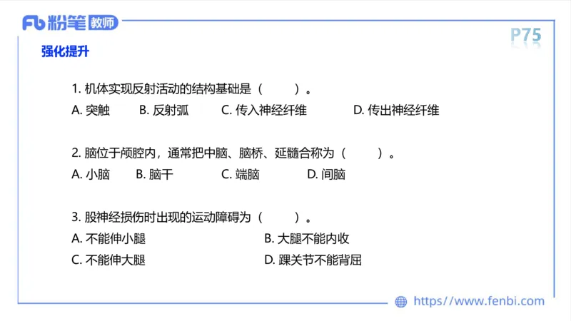 理论精讲运动解剖学5(1)_4-教培资料-26年最新资料-同步更新_科一科二电子资料合集中小幼（笔记真题知识点汇总等）文件多，按需保存_各机构笔记合集（中小幼）推荐_上课课件