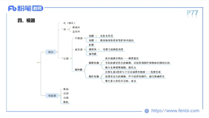 理论精讲运动解剖学5(1)_4-教培资料-26年最新资料-同步更新_科一科二电子资料合集中小幼（笔记真题知识点汇总等）文件多，按需保存_各机构笔记合集（中小幼）推荐_上课课件