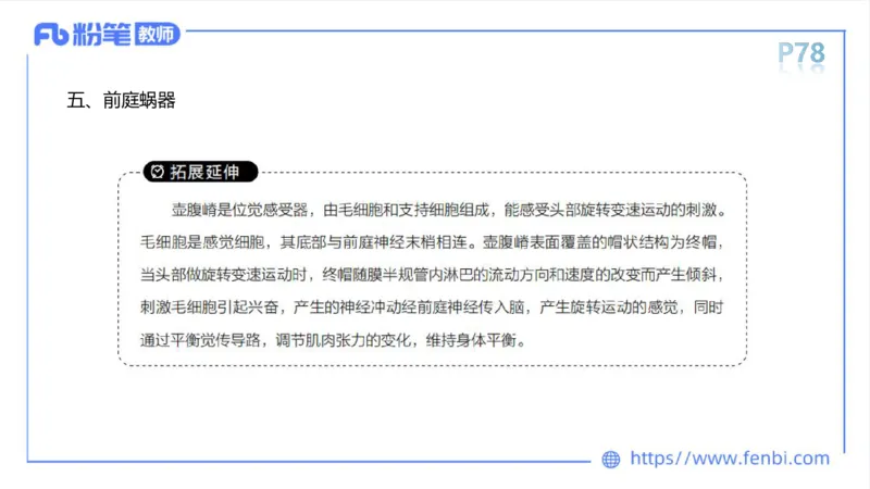 理论精讲运动解剖学5(1)_4-教培资料-26年最新资料-同步更新_科一科二电子资料合集中小幼（笔记真题知识点汇总等）文件多，按需保存_各机构笔记合集（中小幼）推荐_上课课件