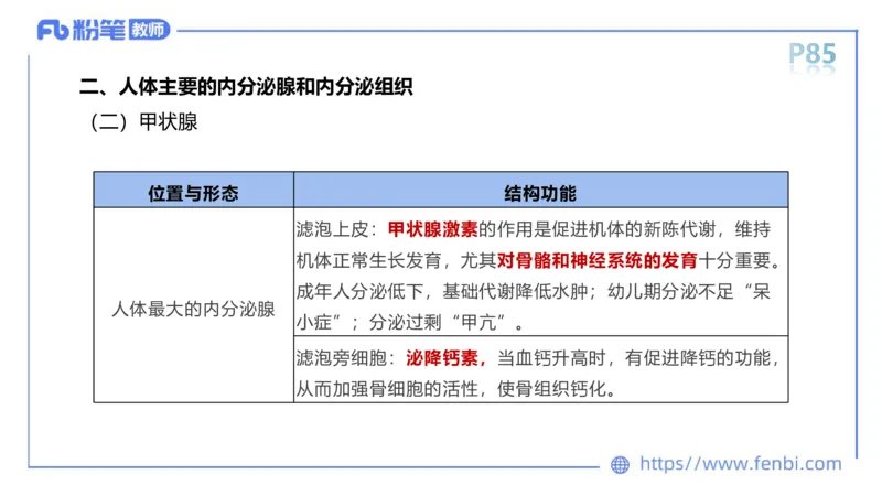 理论精讲运动解剖学5(1)_4-教培资料-26年最新资料-同步更新_科一科二电子资料合集中小幼（笔记真题知识点汇总等）文件多，按需保存_各机构笔记合集（中小幼）推荐_上课课件