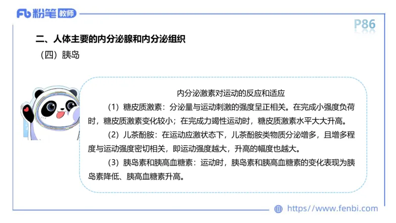 理论精讲运动解剖学5(1)_4-教培资料-26年最新资料-同步更新_科一科二电子资料合集中小幼（笔记真题知识点汇总等）文件多，按需保存_各机构笔记合集（中小幼）推荐_上课课件