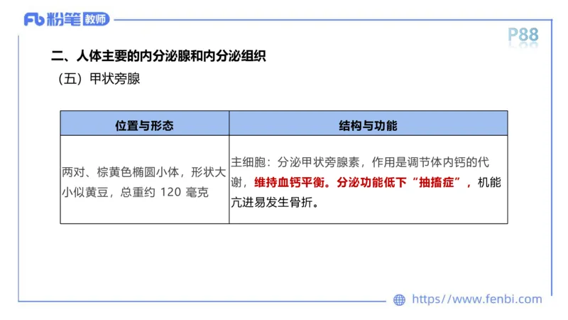 理论精讲运动解剖学5(1)_4-教培资料-26年最新资料-同步更新_科一科二电子资料合集中小幼（笔记真题知识点汇总等）文件多，按需保存_各机构笔记合集（中小幼）推荐_上课课件